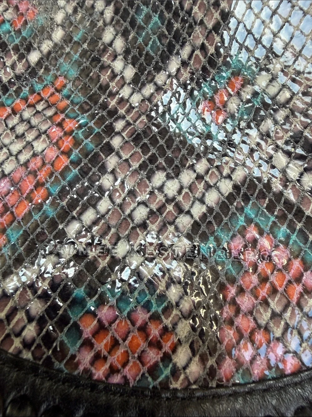 Aimee kestenberg Snake-Print Crossbody Bag in Black with Multicolor Accents